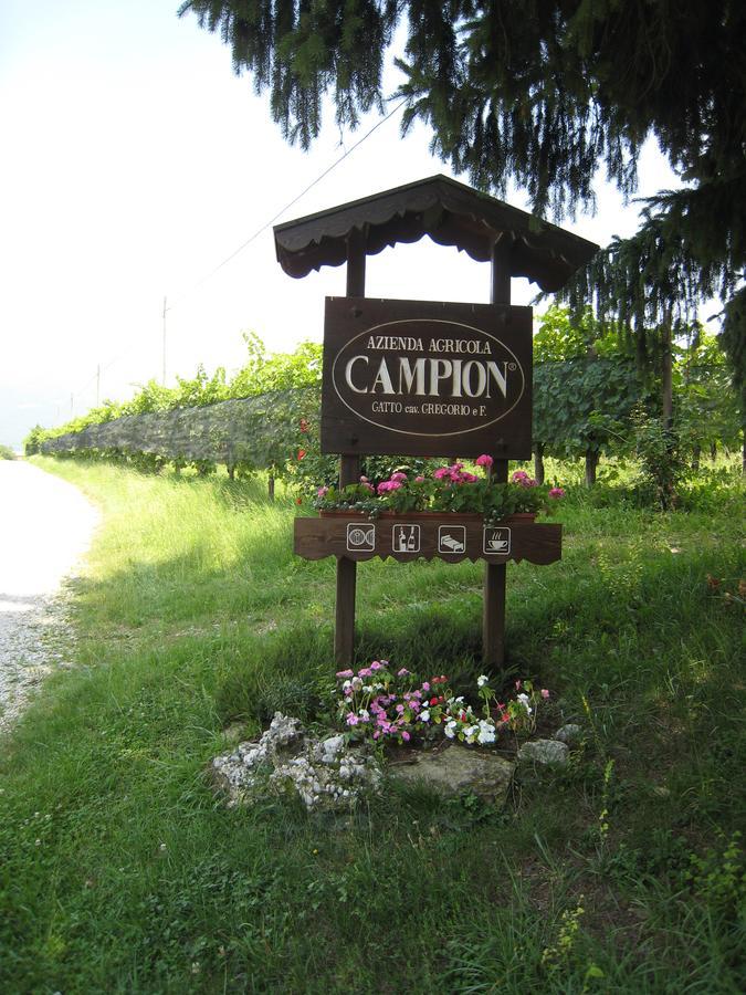 Azienda Agricola Campion Вальдоббьадене Экстерьер фото